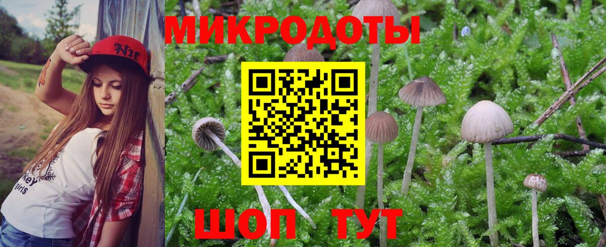 Галлюциногенные грибы прущие грибы  где найти   Волгоград  Вход с VPN 